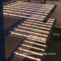 600W 8bar Foldable 301H 281B Grow Light